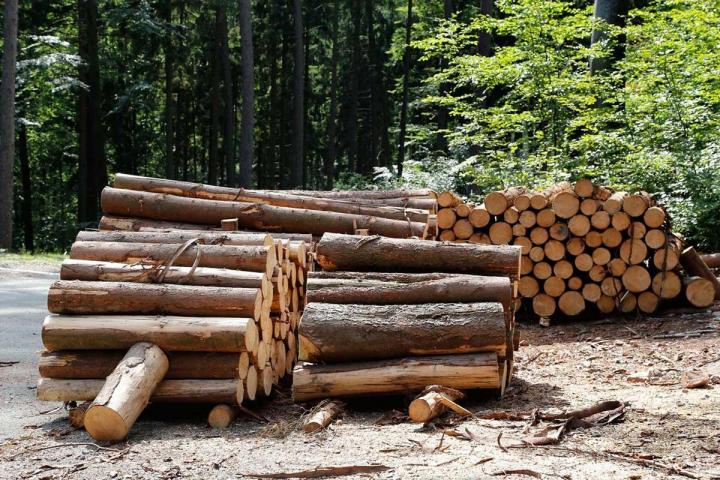 Achat de bois Le Mans