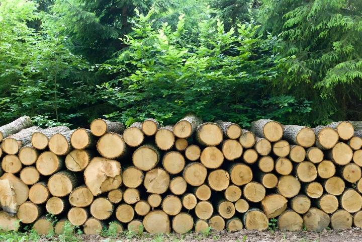 Exploitant Forestier  Le Mans