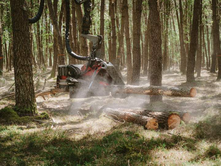 Exploitant Forestier Le Mans