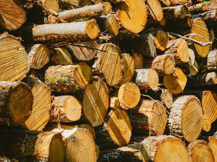 Achat de bois Le Mans