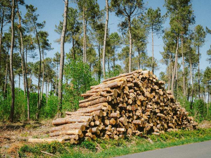 Négoce de bois Le Mans