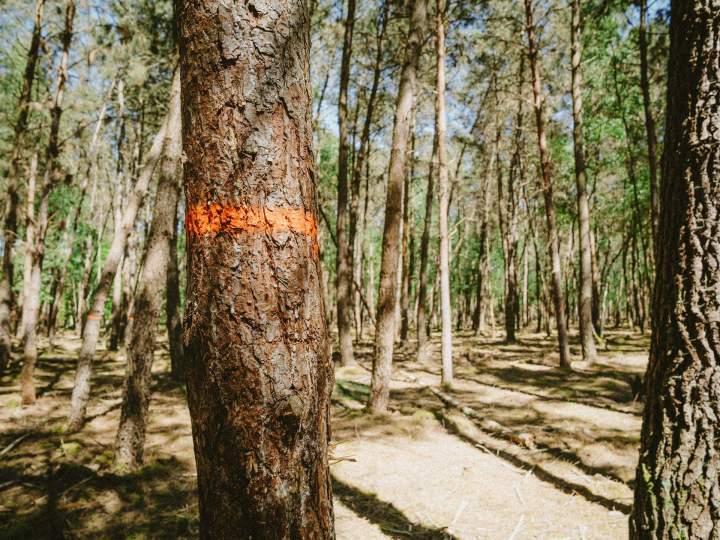 Exploitant Forestier Le Mans