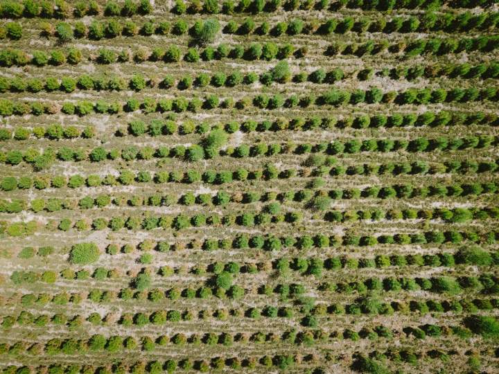 Exploitant Forestier Le Mans